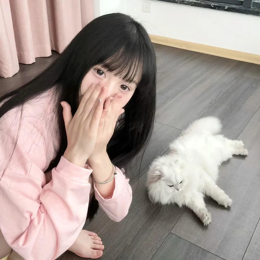 公子贵姓